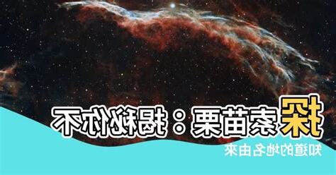 苗栗 地名由來